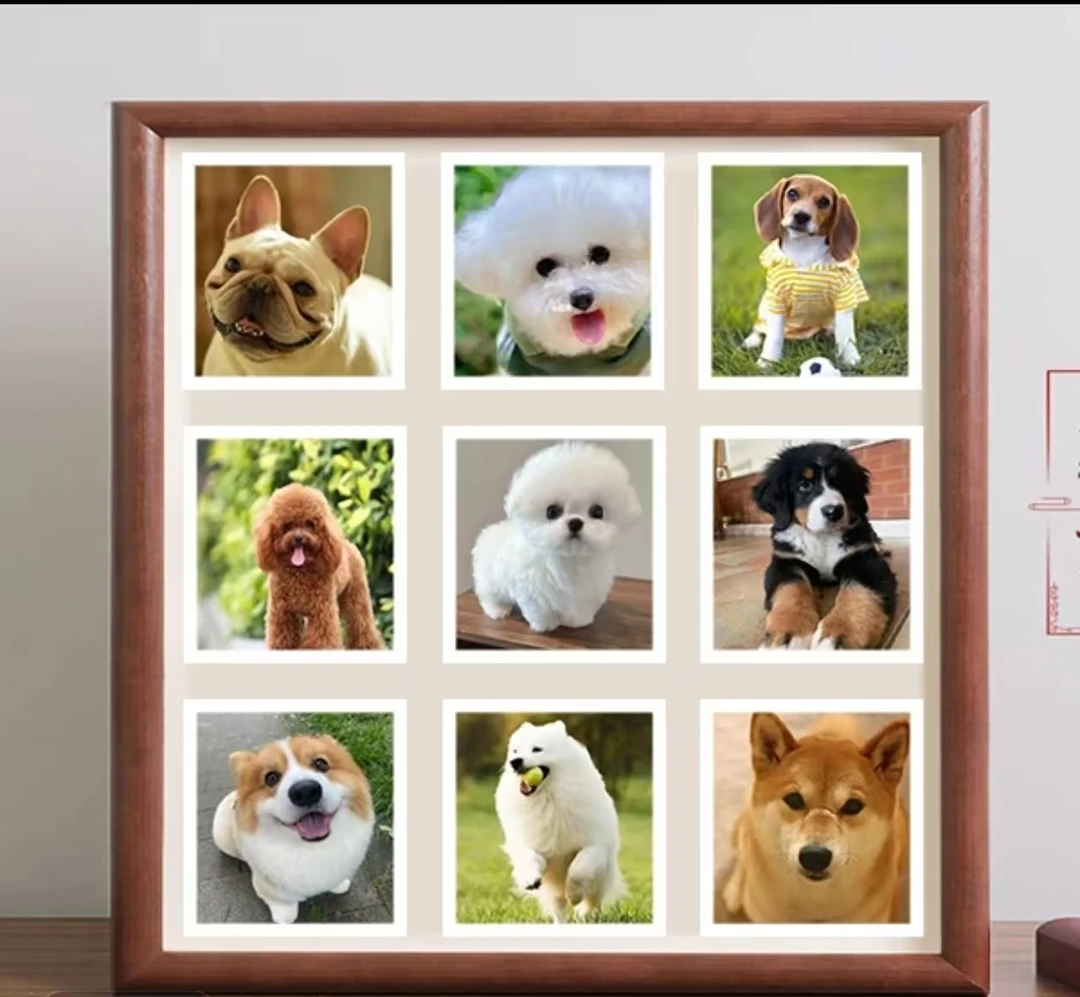 宠物家庭相簿定制宠物本6寸大容量收纳本影集情侣5寸78宠物成长