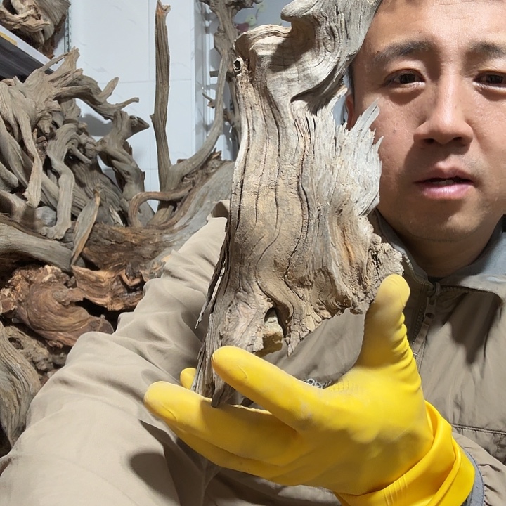 獨****柏木崖柏毛料的加工