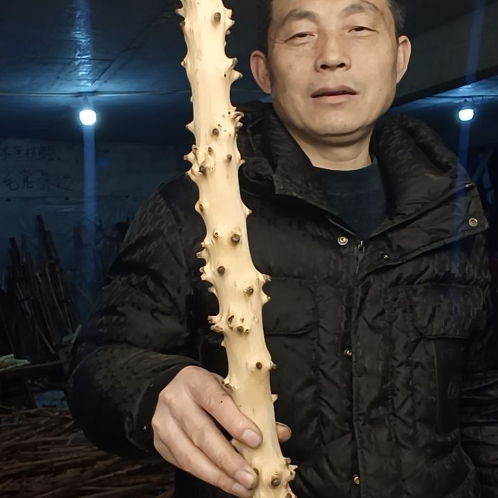 稳定木甪****甪贵州檬子木   铁马鞭   根艺  半成品