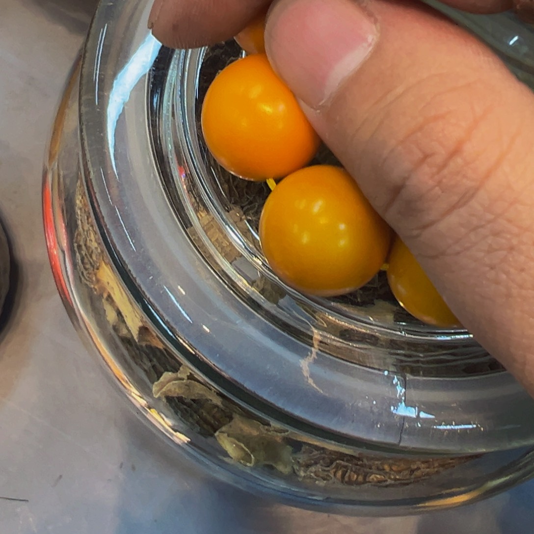 瓷器瓷器瓷器花瓶瓷器