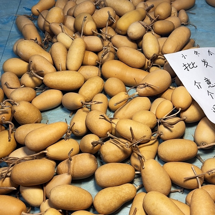 葫芦冬瓜专属链接