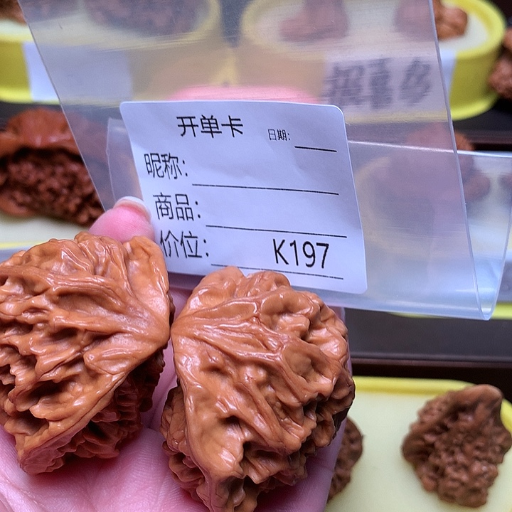 木***1蛇头蛇头蛇头蛇头