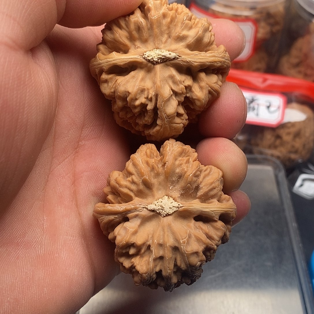 文玩核桃把件风***。粗筋46