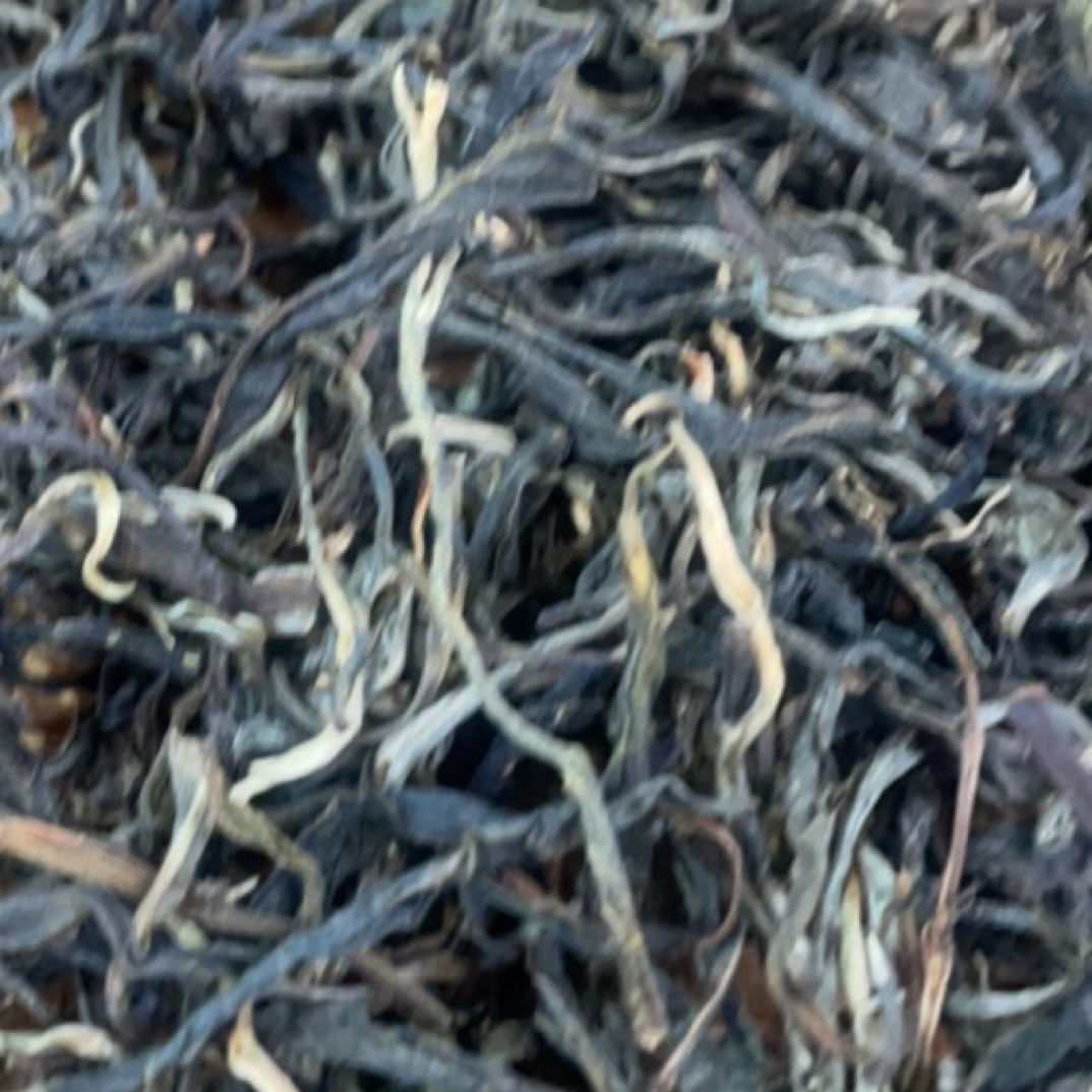 2025年 缅甸茶王古树单株生茶散料