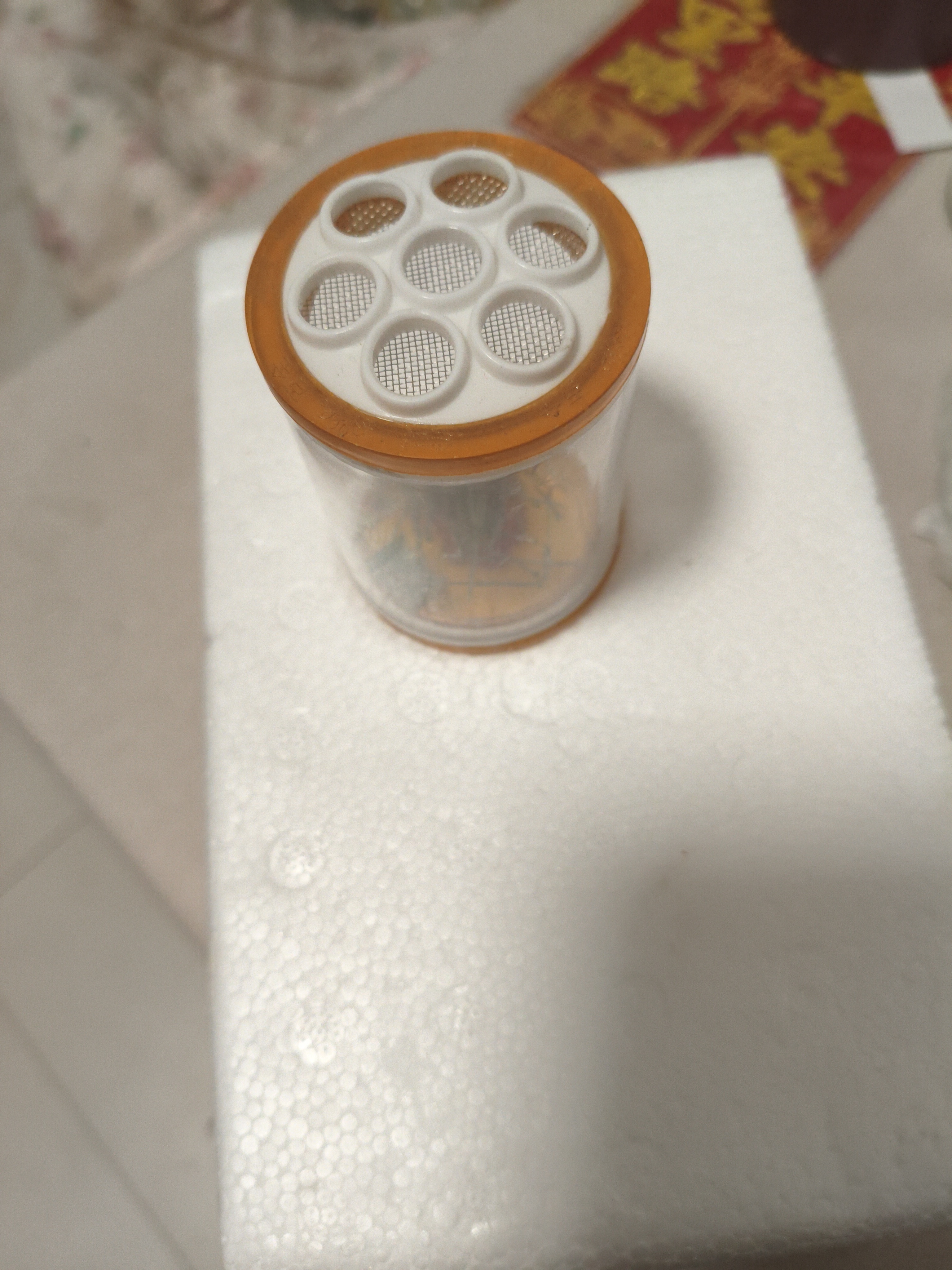 七孔铁网蝈蝈叫罐