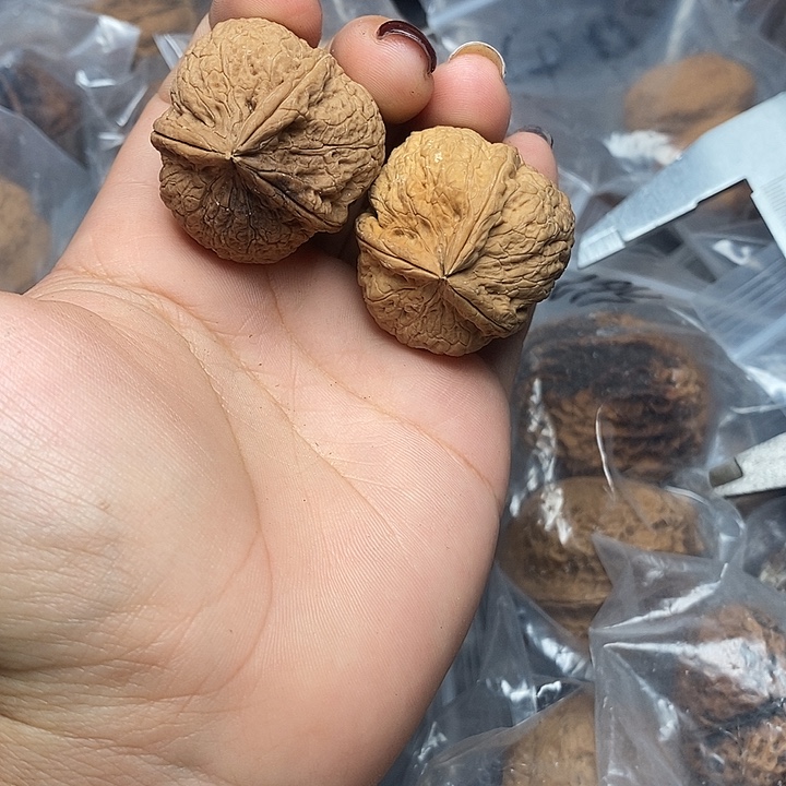 文玩核桃把件    35