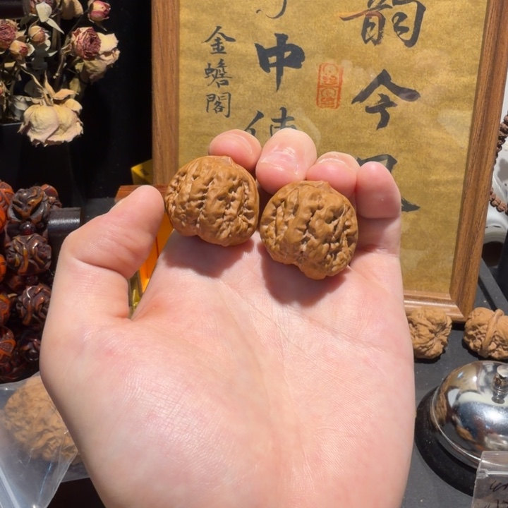 全品无修一只微磕尖小毕业对