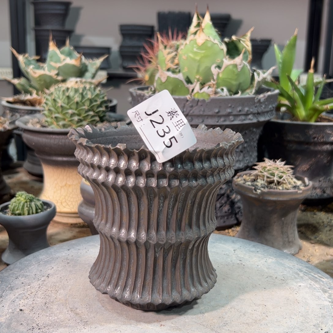 景德镇手工素里内口11.5高12.5