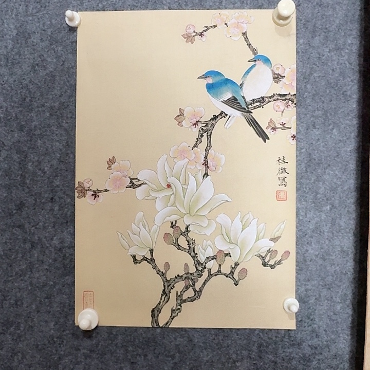 国画好好先生我在看电影