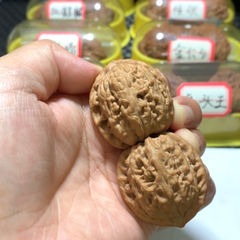 吊坠文玩核桃尸****蝇秦岭野生