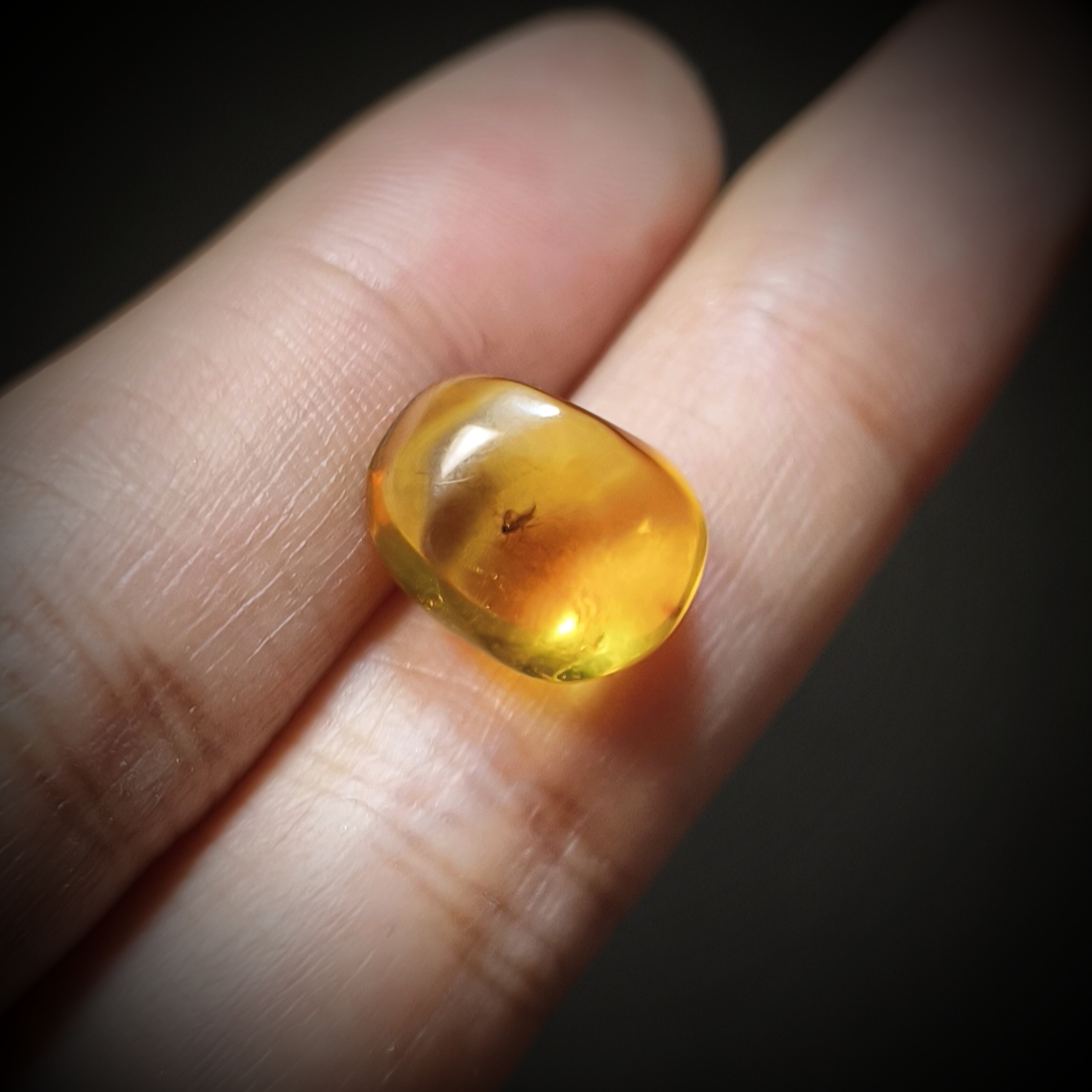 天然蜜蜡虫珀裸石多样性