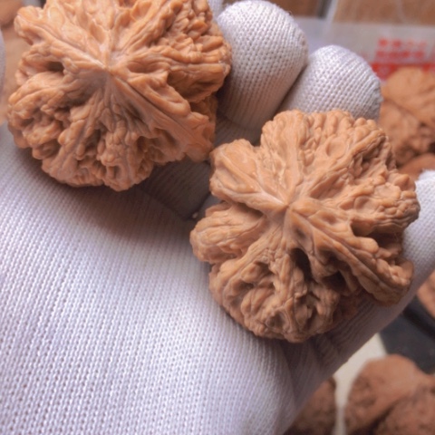 【闪购商品】桃核吊坠逸**室粗筋狮子头