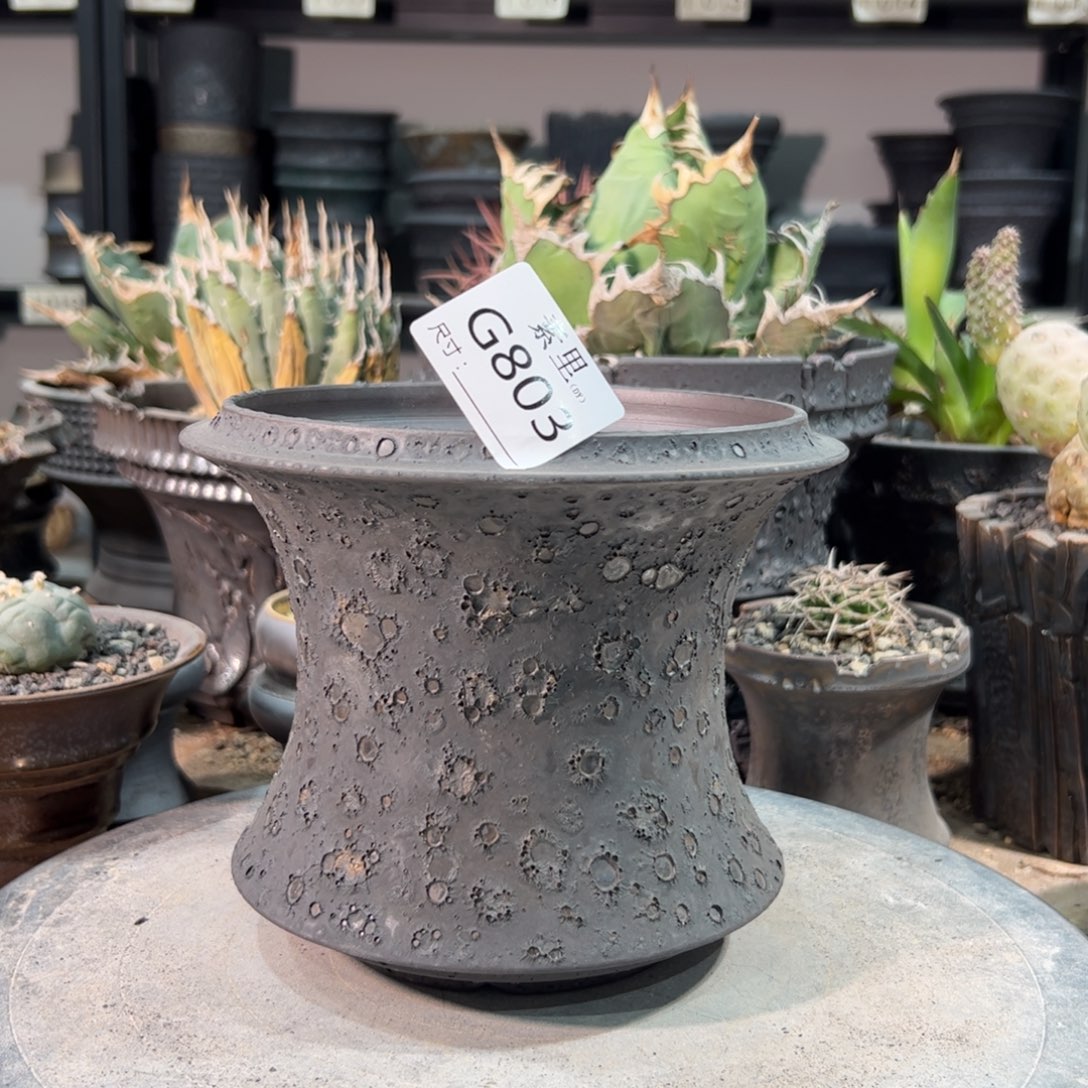 景德镇手工素里内面14高13.5