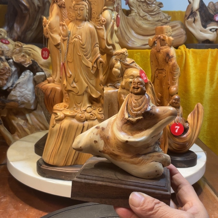 柏木（崖柏）崖柏   弥勒