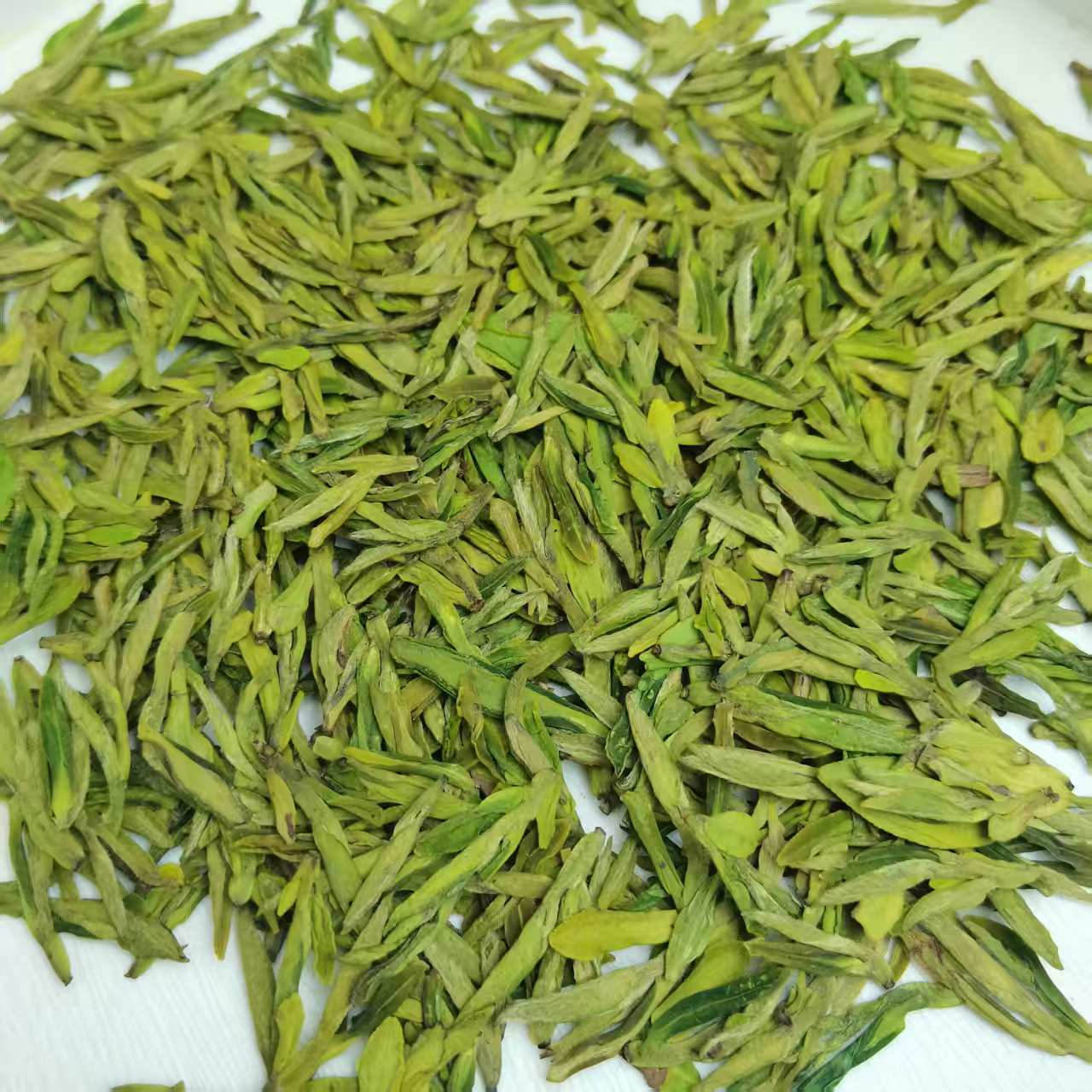 2025浙江明前龙3嫩芽片型茶   425款