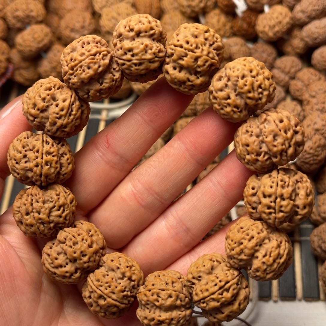 菩提尼泊尔大金刚爆肉梅花22