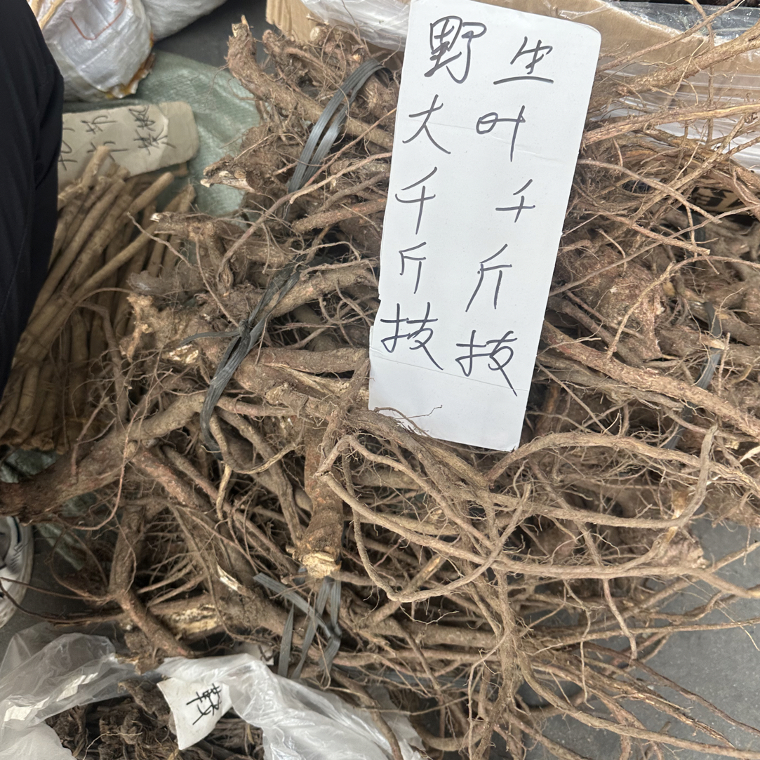 大叶千斤拔 广西山货大叶千斤拔 红天根不倒 干品
