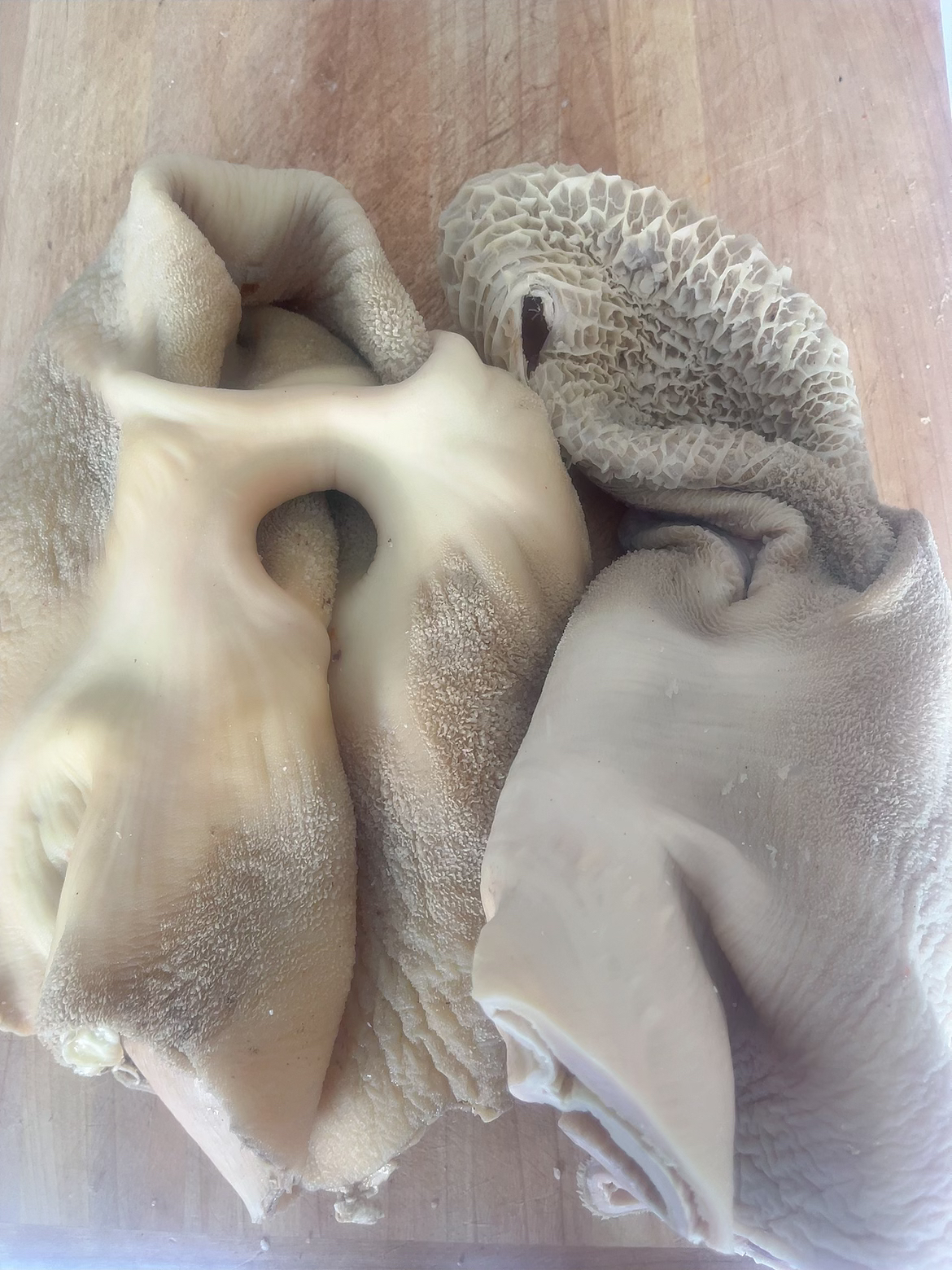 五香牛肚【纯手工水煺】咸味 全熟