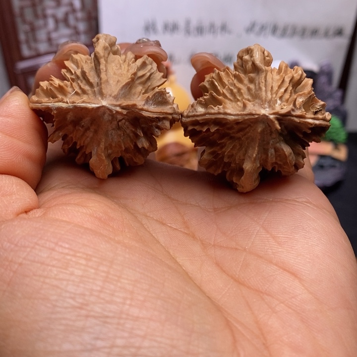 文玩核桃把件核桃10W