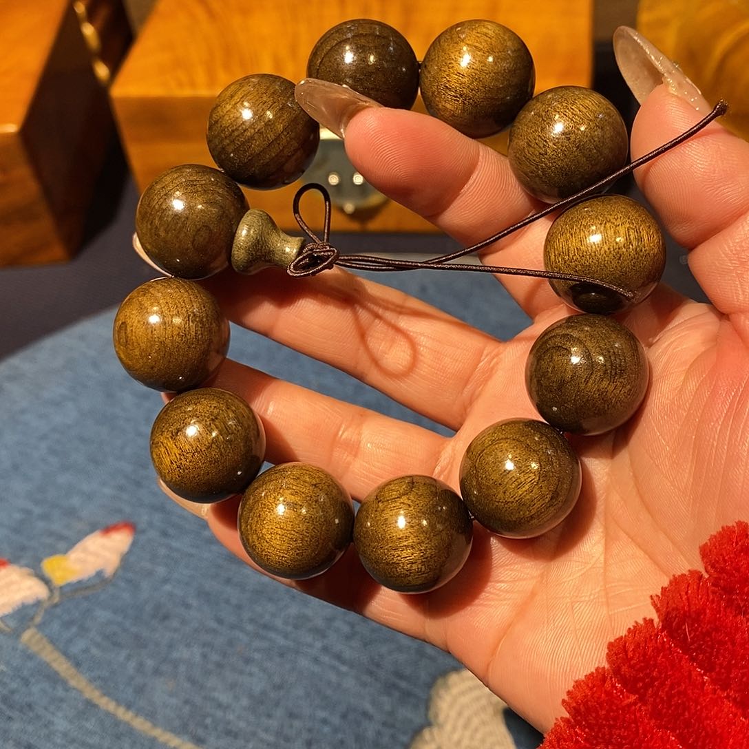 楠木111111111111111111