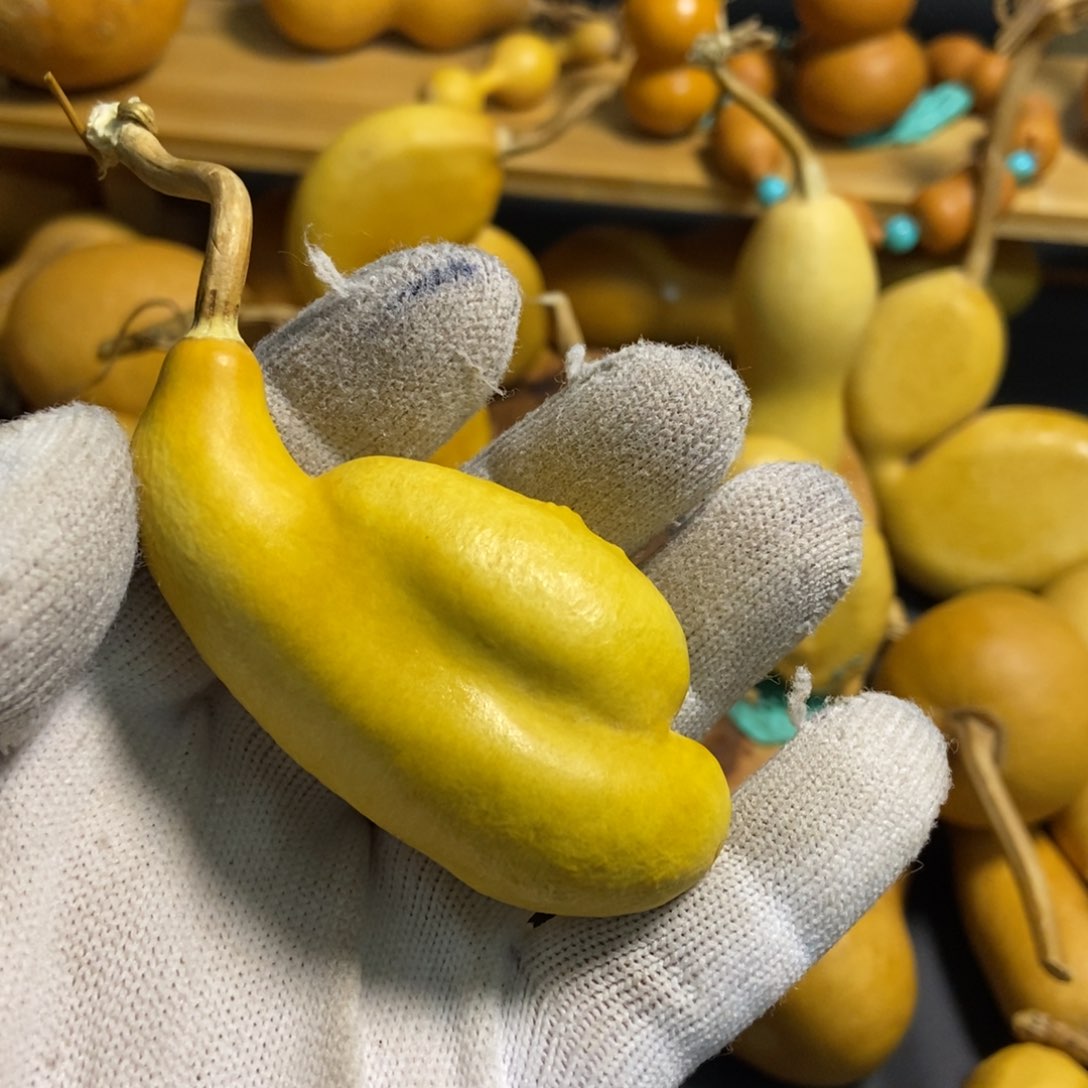 比*葫芦葫芦真的