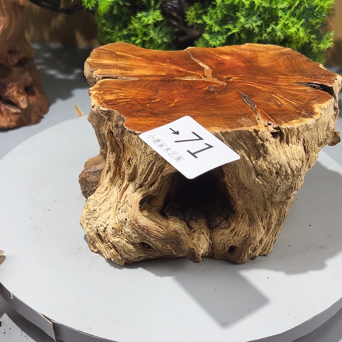 泰***山香榧木火琉璃……火琉璃