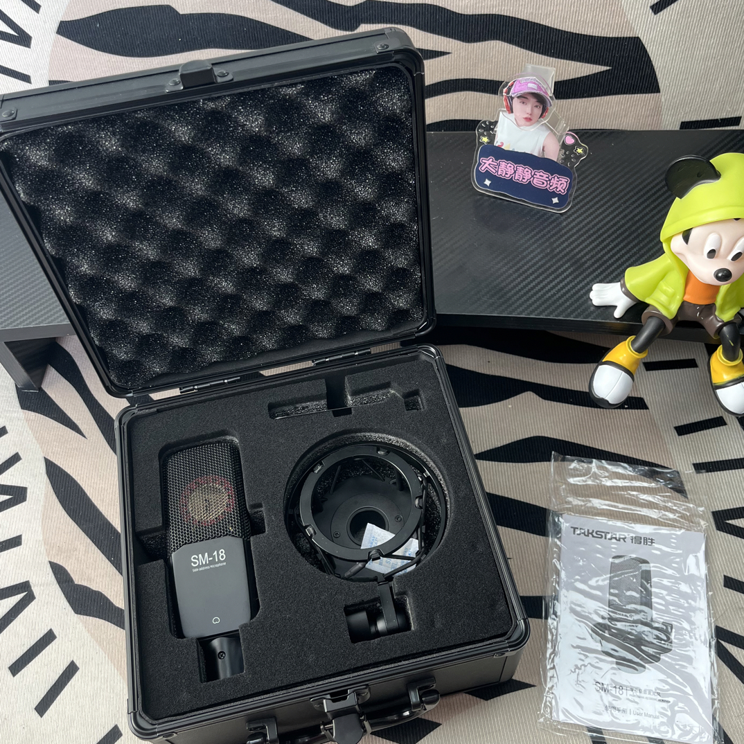 9新 Takstar/得胜 9新包装齐全得胜sm18功能完好