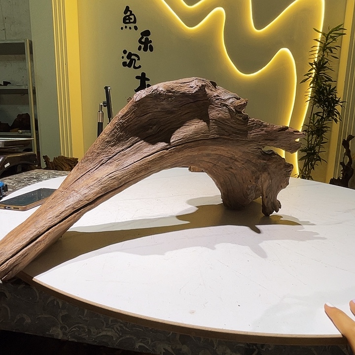 龙***下沉木入缸会黄水617。76 27 28