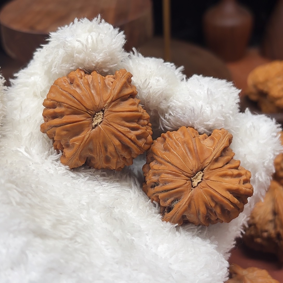 K***K核桃手串/手链灯牌