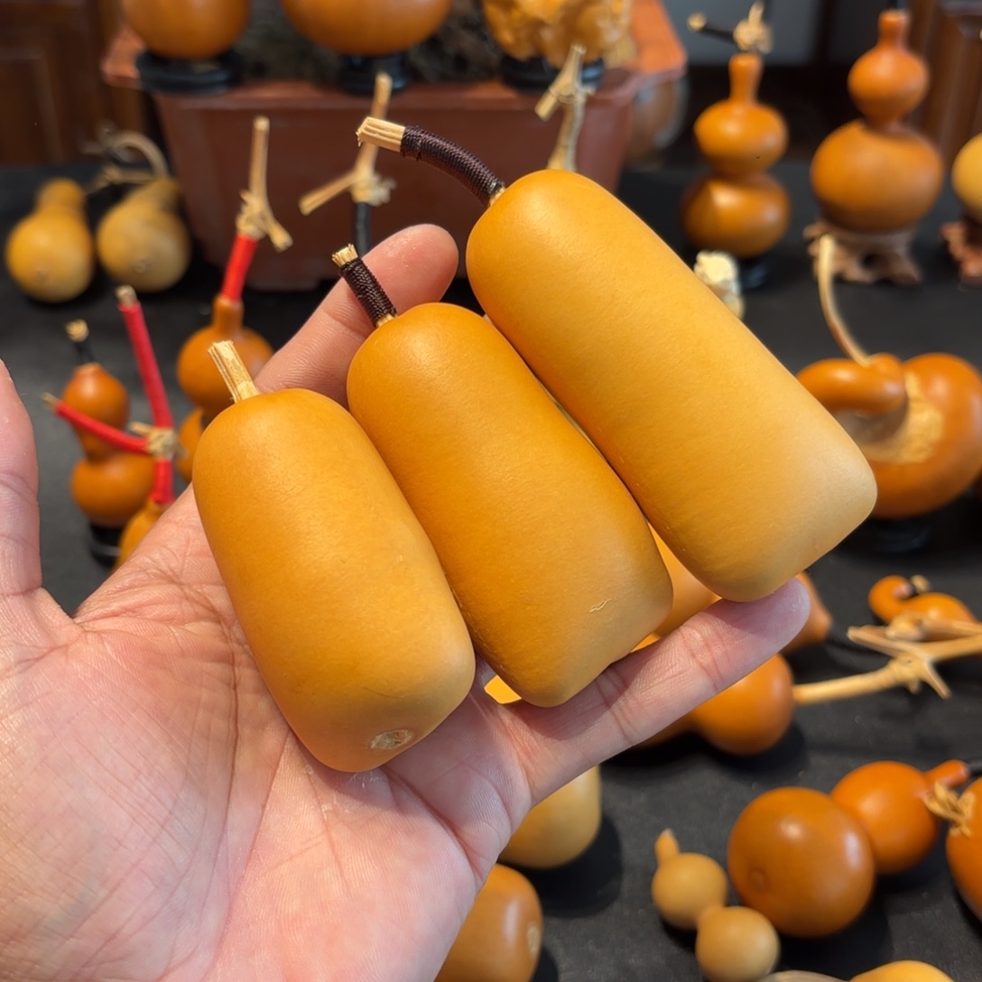 龙***头葫芦88888888888888888