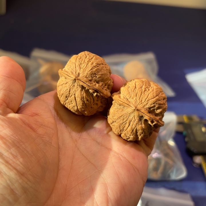 文玩核桃吊坠三足元宝