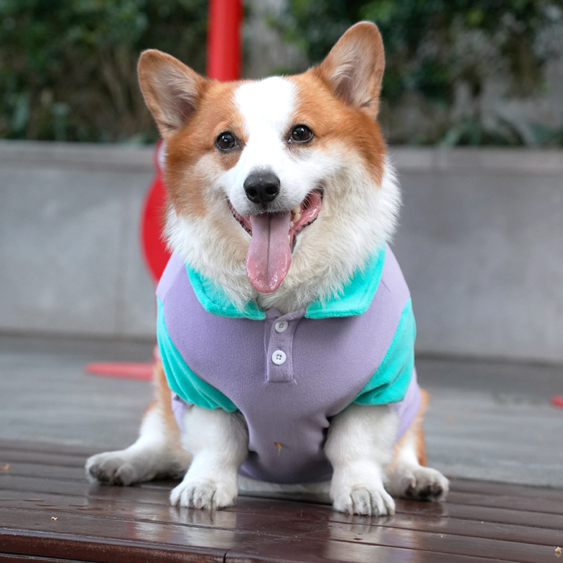 Tigerdog宠物秋冬POLO衫短腿犬柯基边牧柴犬大狗双面加绒衣服装