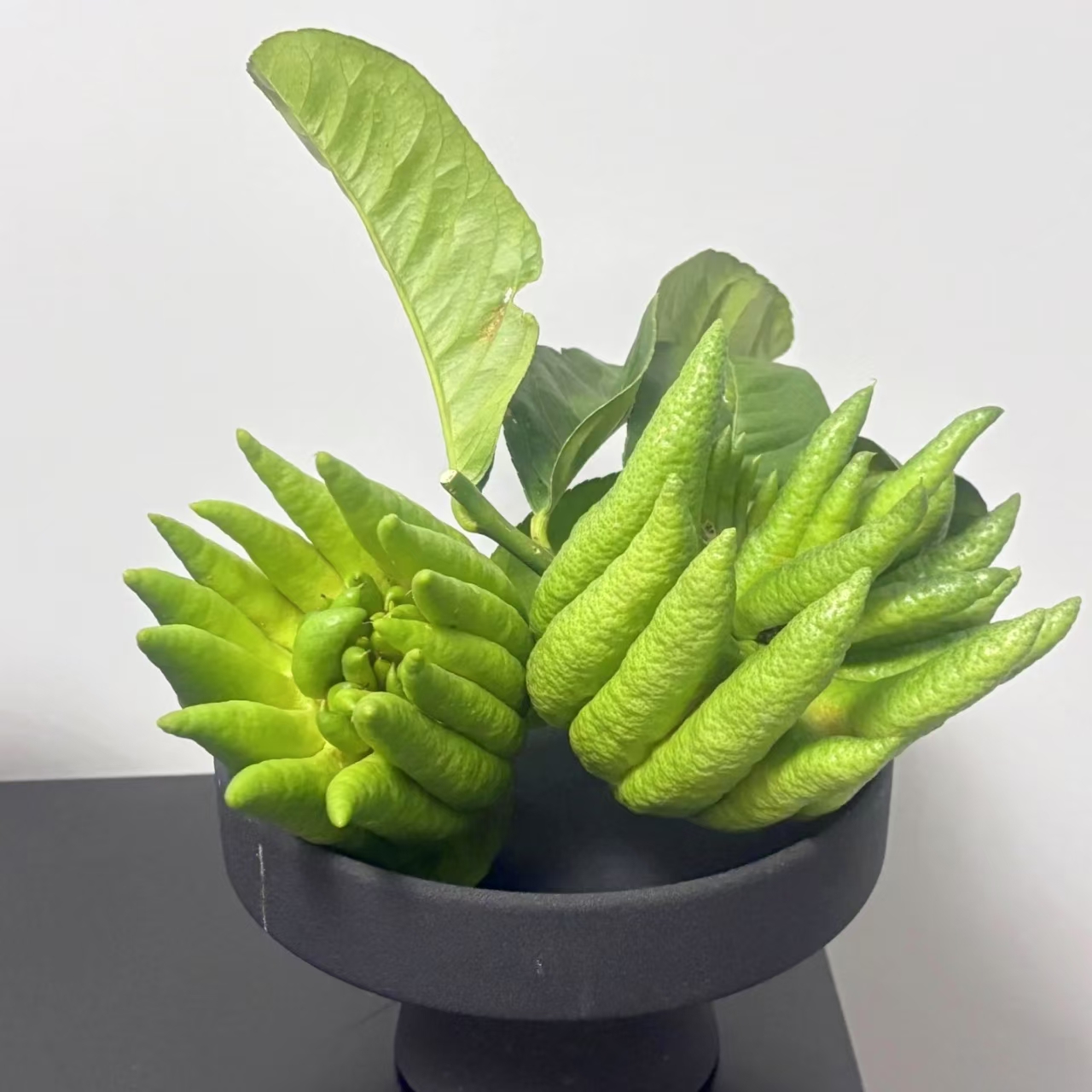 佛手柑 清新水培植物可观赏闻香的新鲜佛手果 云南鲜花绿植