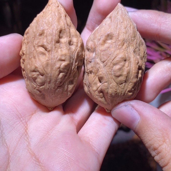 把件文玩核桃东北野生楸子小园218