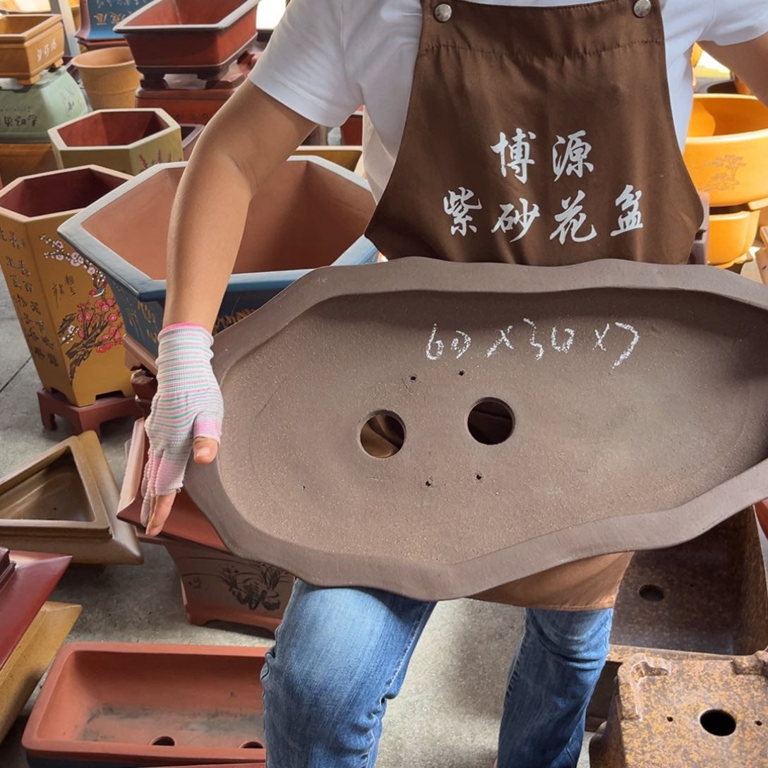 花盆紫砂盆景艺术