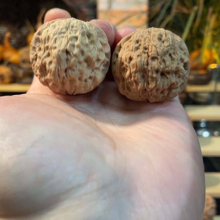 文玩核桃把件编号47