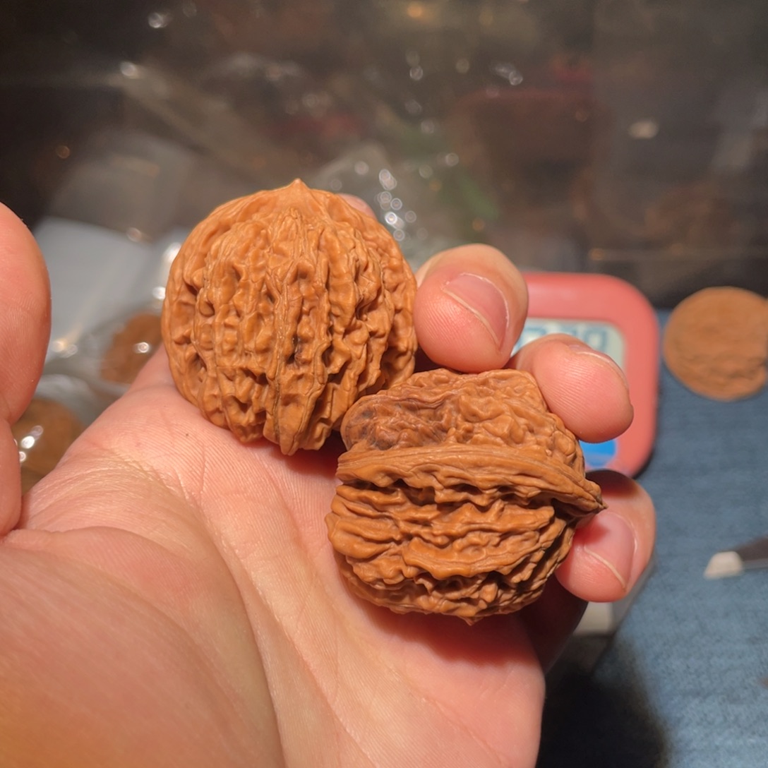 文玩核桃把件56565656656