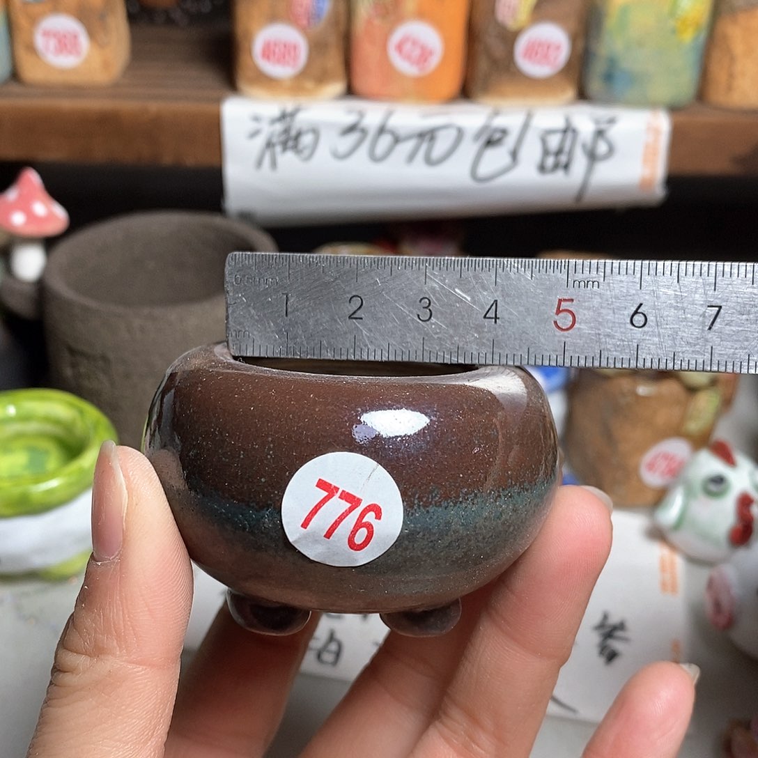 红陶拍5送一个小