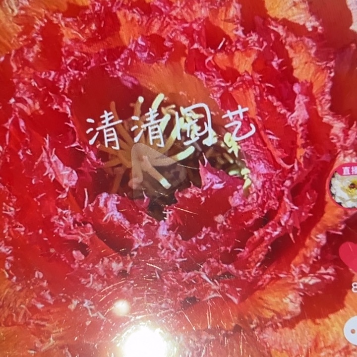 清清醉红颜根瑕疵黑点