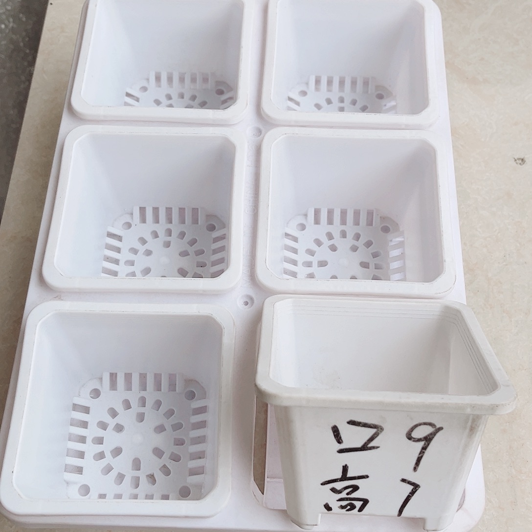 塑料福利款9方白色盆12个带2拖架