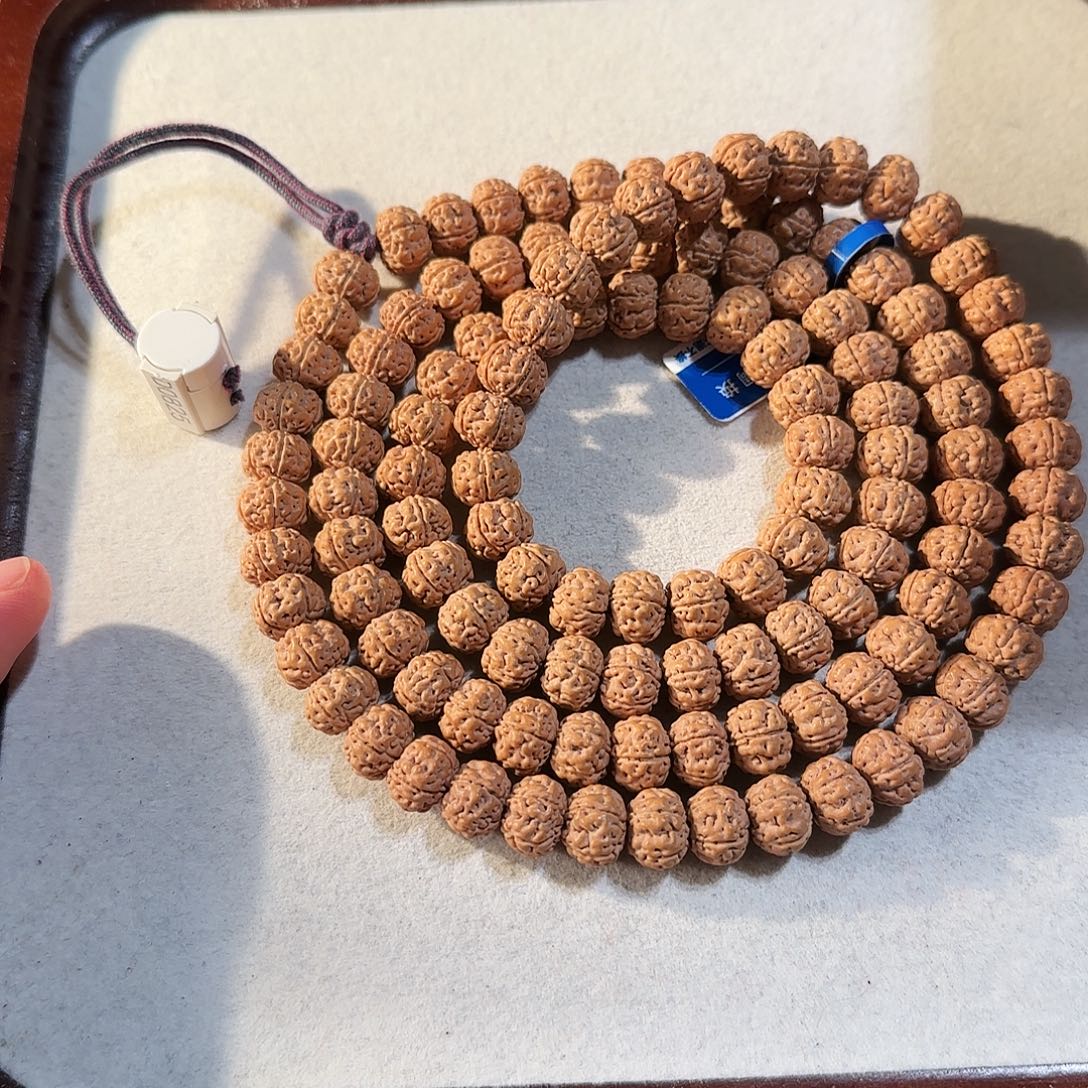 柏香籽/百香籽吊坠定制级神秘一号