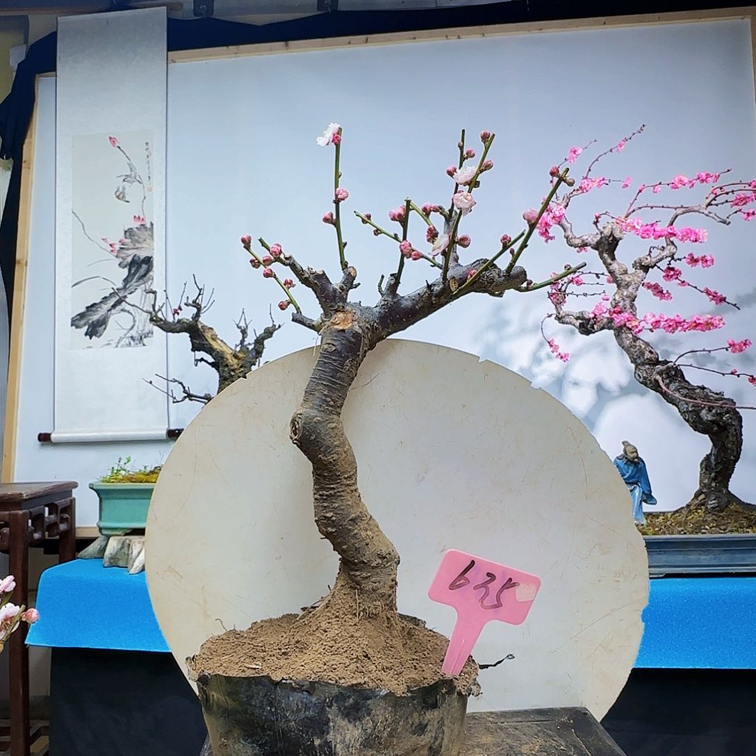 无铅玻璃忍****1f g h j k k l