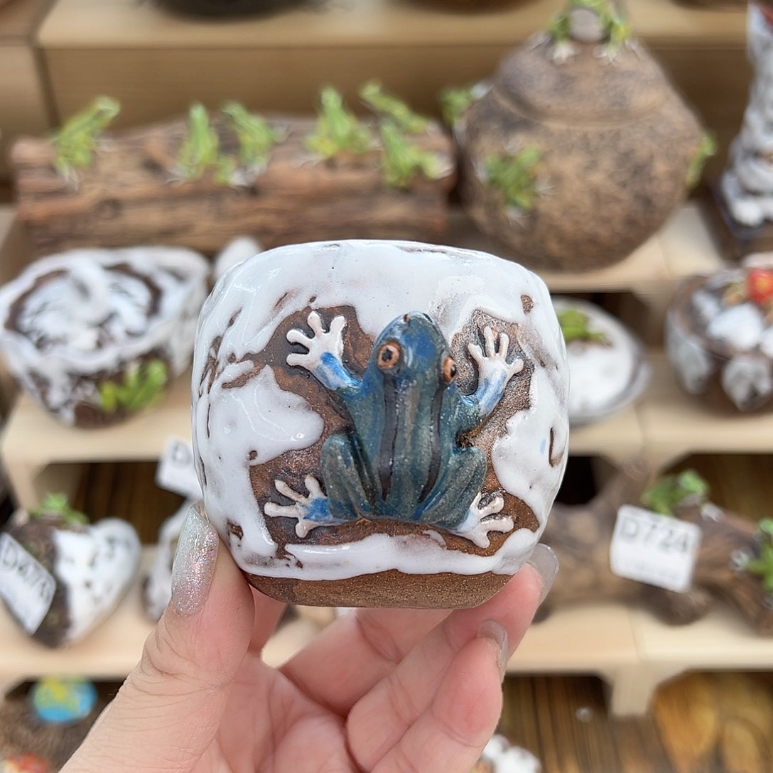 闪购久久家的瓷器