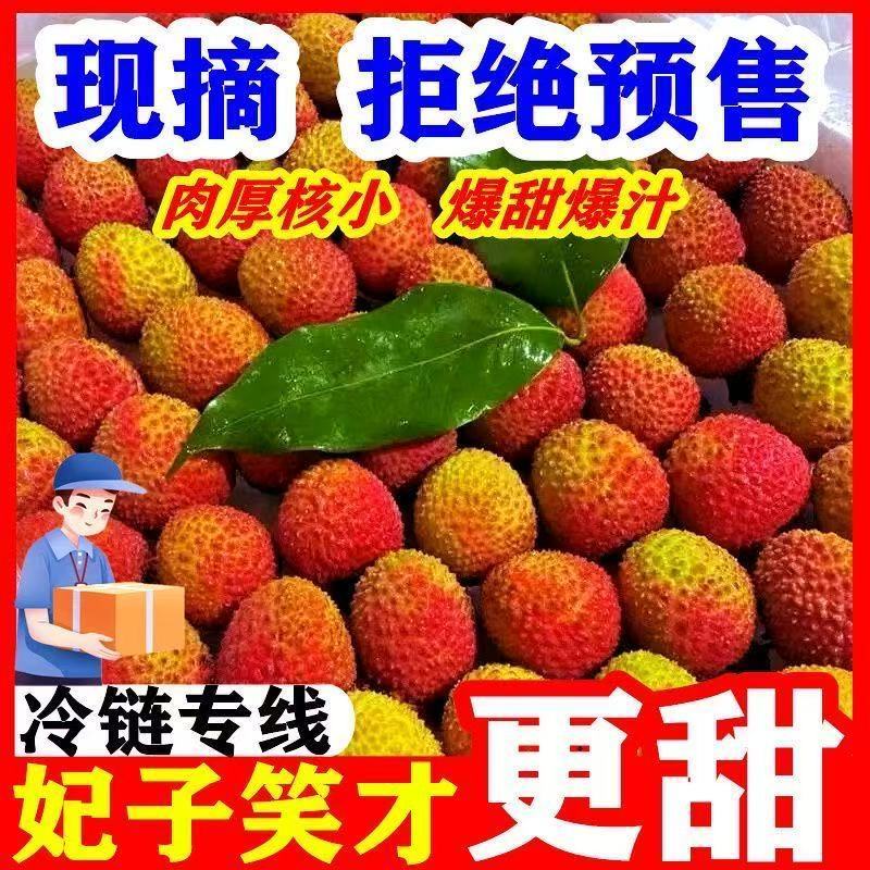 新鲜正宗妃子笑荔枝新鲜水果现摘当季黑叶白糖妃子笑整箱便宜包邮
