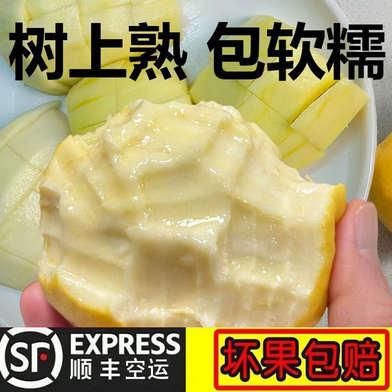 【顺丰-树熟白心软芭乐】福建当季奶油新鲜现摘清软番石榴3/5斤