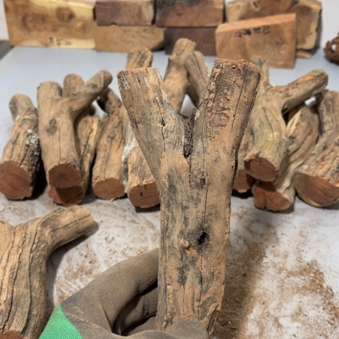 大果紫檀（缅甸花梨）鼎****场