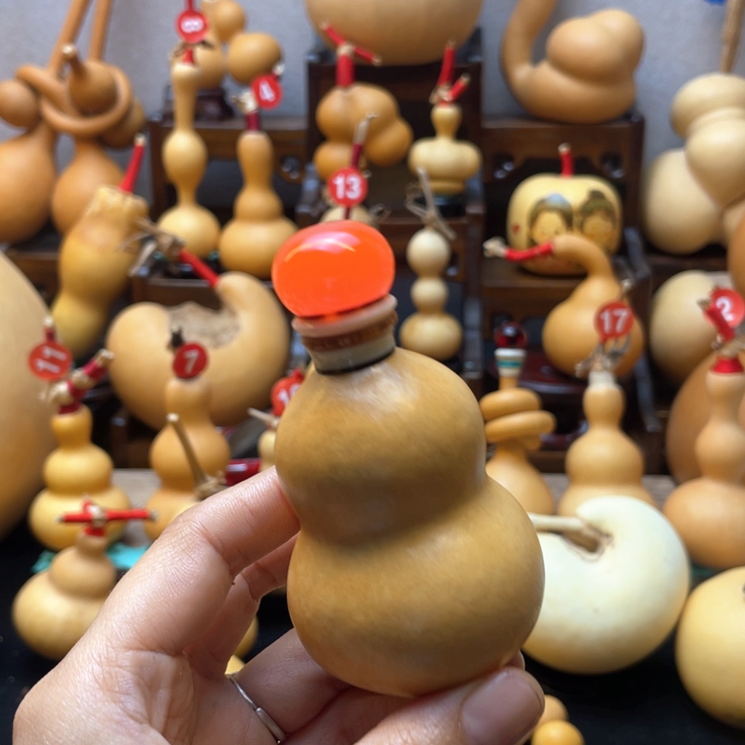 J****r大自然的秘密第十一课你是