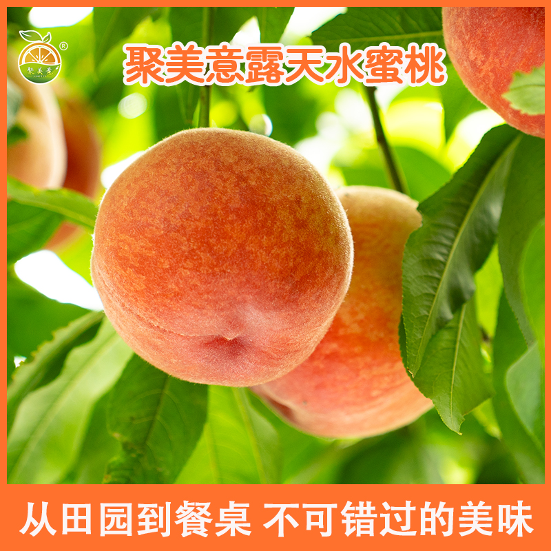 聚美意【新鲜采摘】头茬陕西露天水蜜桃脆甜多汁果园直发当季水果
