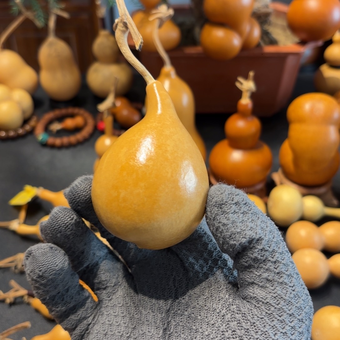 骑***山葫芦8888888888888888