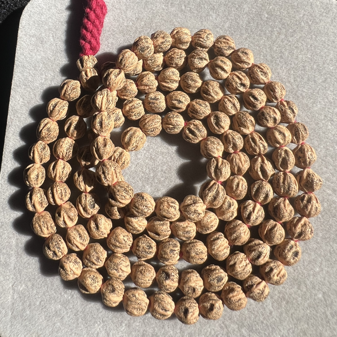 【东来】天然圆桩头尾不动百香籽